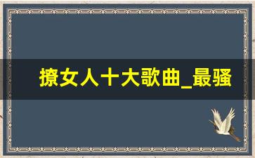 撩女人十大歌曲_最骚气的歌