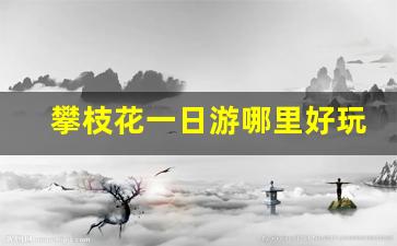 攀枝花一日游哪里好玩_攀枝花市内一日游