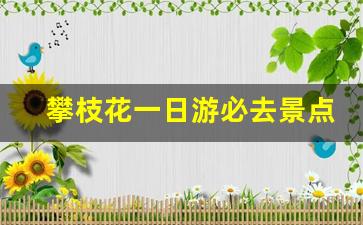 攀枝花一日游必去景点_攀枝花周边100公里内景点