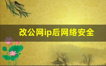 改公网ip后网络安全吗_如何改公网ip