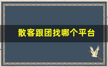 散客跟团找哪个平台