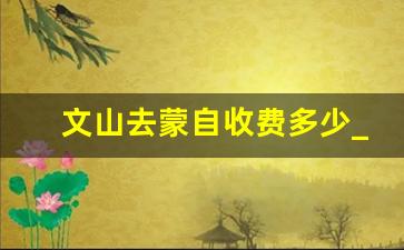 文山去蒙自收费多少_蒙自到文山的票价是多少