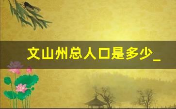 文山州总人口是多少_文山市人口