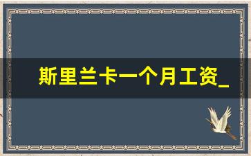 斯里兰卡一个月工资_去一趟斯里兰卡多少钱