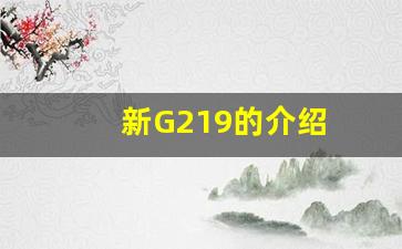 新G219的介绍