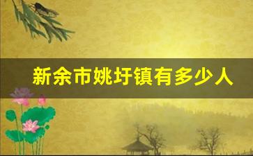 新余市姚圩镇有多少人口_新余姚圩最大的村