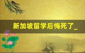 新加坡留学后悔死了_新加坡国立大学研究生申请条件