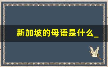 新加坡的母语是什么_新加坡大小相当于中国哪个城市