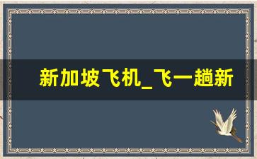 新加坡飞机_飞一趟新加坡多少钱