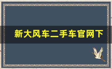 新大风车二手车官网下载