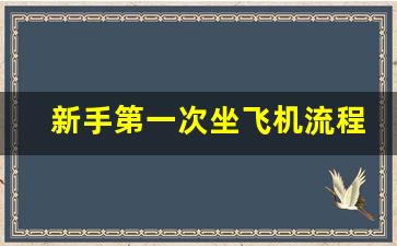 新手第一次坐飞机流程图