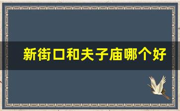 新街口和夫子庙哪个好玩