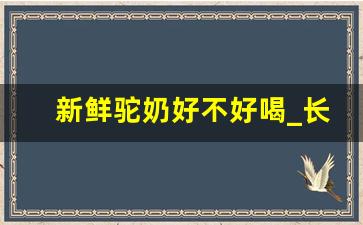 新鲜驼奶好不好喝_长期喝驼奶的人都怎么样了