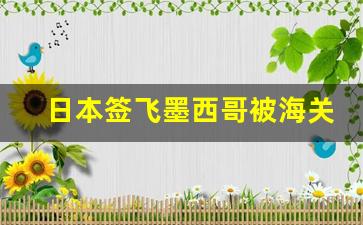 日本签飞墨西哥被海关扣了_日本单次可以去墨西哥吗