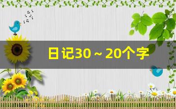 日记30～20个字