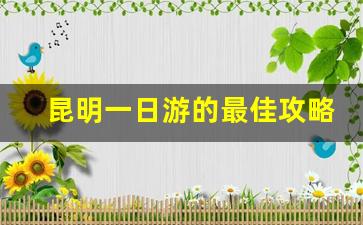 昆明一日游的最佳攻略_昆明一日游不收费景点