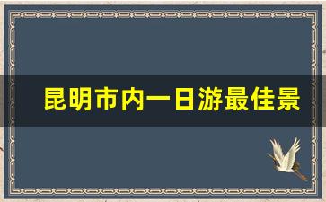 昆明市内一日游最佳景点一览表