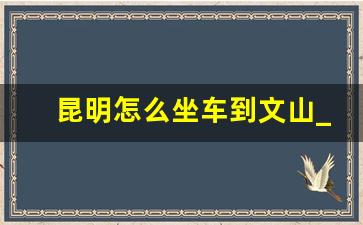 昆明怎么坐车到文山_昆明到文山的班车时刻表