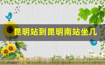 昆明站到昆明南站坐几号地铁_昆明火车站下车后怎么坐地铁