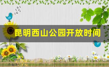 昆明西山公园开放时间