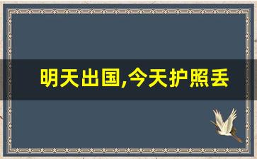 明天出国,今天护照丢了