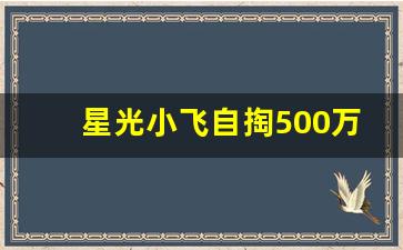 星光小飞自掏500万靠谱吗