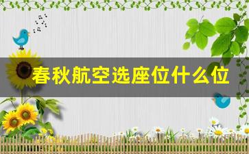 春秋航空选座位什么位置好_春秋航空空客320商务经济舱