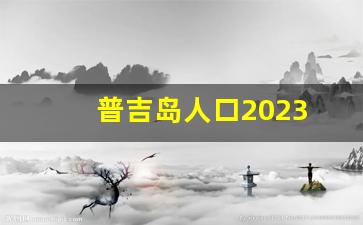 普吉岛人口2023