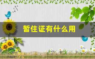 暂住证有什么用