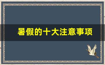 暑假的十大注意事项