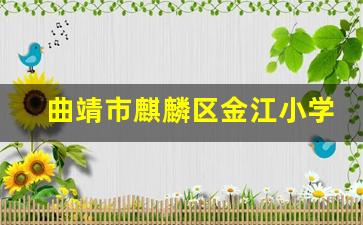 曲靖市麒麟区金江小学修建性详细规划