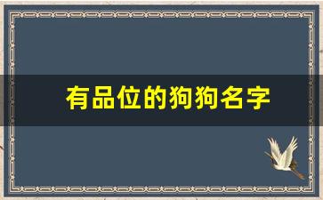 有品位的狗狗名字