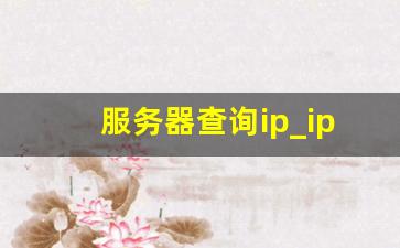 服务器查询ip_ip服务器地址查询