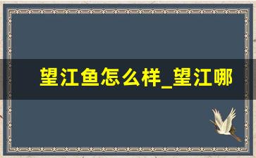 望江鱼怎么样_望江哪里买鱼比较好