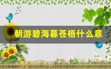 朝游碧海暮苍梧什么意思_朝游北海暮苍梧是啥意思