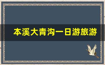 本溪大青沟一日游旅游方案_通辽大青沟旅游攻略自驾