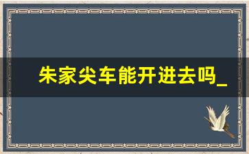 朱家尖车能开进去吗_朱家尖到桃花岛可以开车吗