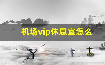 机场vip休息室怎么买_凌晨到达机场怎么过夜