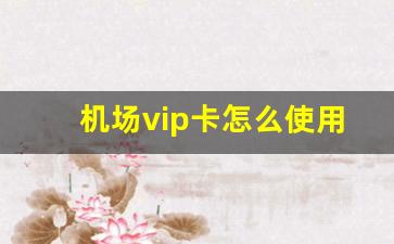 机场vip卡怎么使用_腾讯vip怎么登录