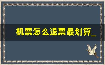 机票怎么退票最划算_没出票的机票怎么退票