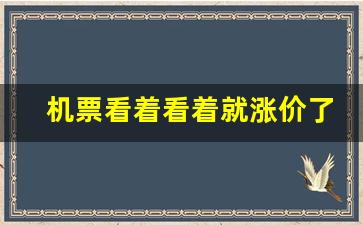 机票看着看着就涨价了