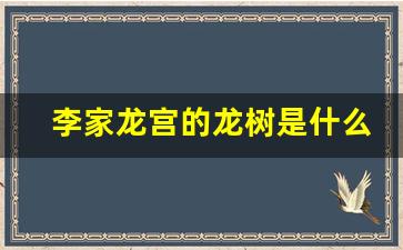 李家龙宫的龙树是什么树_李家龙宫介绍