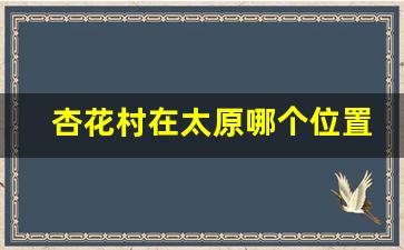 杏花村在太原哪个位置_成都杏花村在哪里