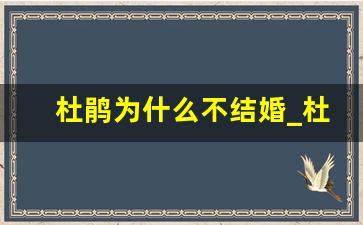 杜鹃为什么不结婚_杜娟的婚姻为什么不更了