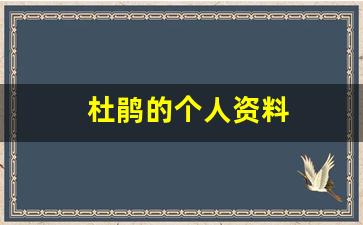 杜鹃的个人资料