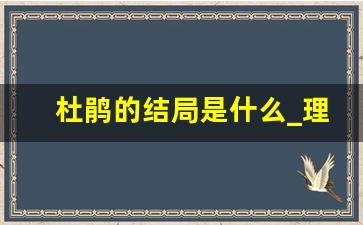 杜鹃的结局是什么_理想之城杜鹃和谁在一起了