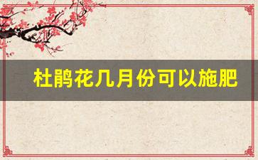 杜鹃花几月份可以施肥