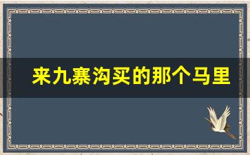 来九寨沟买的那个马里特锅好吗