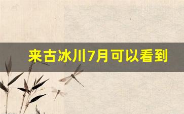 来古冰川7月可以看到冰川吗