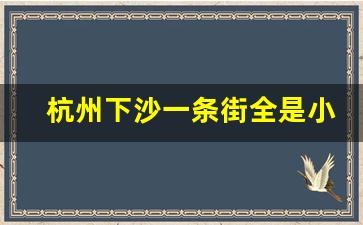 杭州下沙一条街全是小旅馆_余杭区做服务的小巷